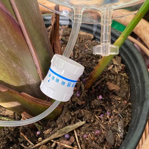 Plant IV - Plant Life Support - Picture 5 of 6